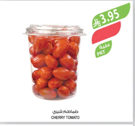 Tomato available at Farm  in KSA, Saudi Arabia, Saudi - Al Khobar