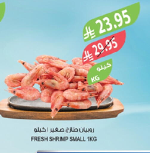 available at المزرعة in مملكة العربية السعودية, السعودية, سعودية - الخرج