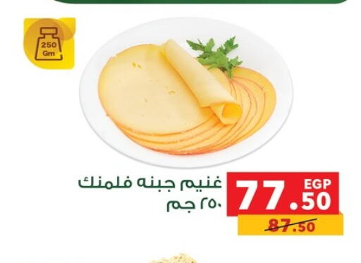 available at بنده in Egypt - القاهرة
