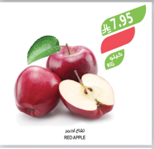Apples available at Farm  in KSA, Saudi Arabia, Saudi - Al Khobar