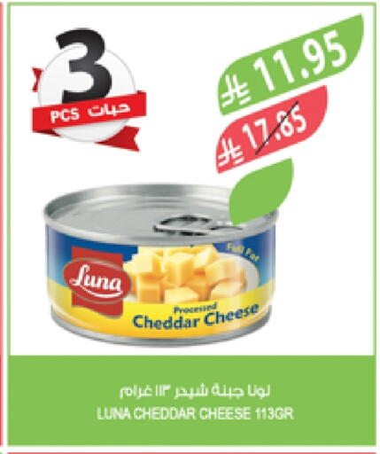 LUNA Cheddar Cheese available at Farm  in KSA, Saudi Arabia, Saudi - Al-Kharj