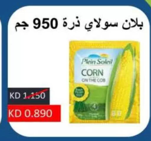 available at Sulaibkhat & Doha Coop in Kuwait