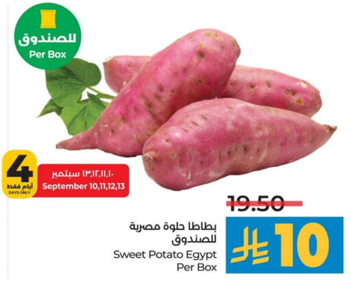 بطاطا حلوة from Egypt available at لولو هايبرماركت in مملكة العربية السعودية, السعودية, سعودية - الخبر‎