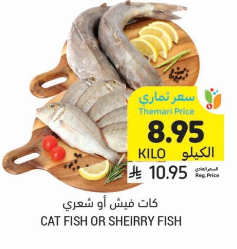 available at Tamimi Market in KSA, Saudi Arabia, Saudi - Al Khobar