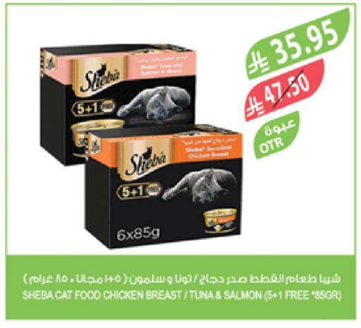 available at المزرعة in مملكة العربية السعودية, السعودية, سعودية - الخبر‎