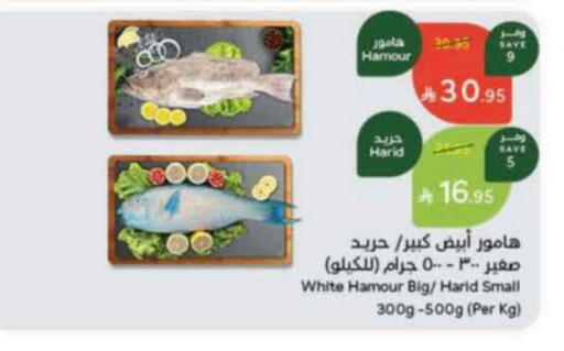 available at Hyper Panda in KSA, Saudi Arabia, Saudi - Al Majmaah