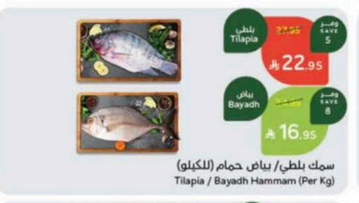 available at Hyper Panda in KSA, Saudi Arabia, Saudi - Al Majmaah