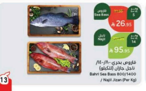 available at Hyper Panda in KSA, Saudi Arabia, Saudi - Al Majmaah