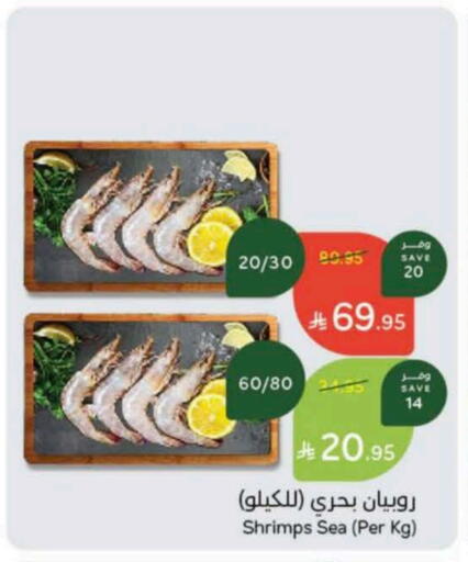 available at Hyper Panda in KSA, Saudi Arabia, Saudi - Al Majmaah