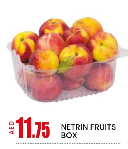 Mango available at Mango Hypermarket LLC in UAE - Dubai