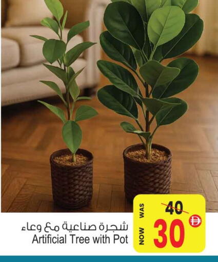 available at أنصار جاليري in الإمارات العربية المتحدة , الامارات - دبي