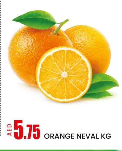 Orange available at Mango Hypermarket LLC in UAE - Dubai