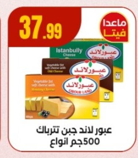 Feta available at El Mahlawy Stores in Egypt - Cairo