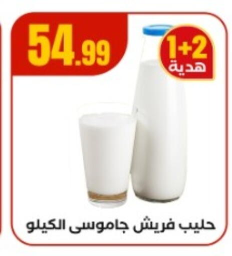 Fresh Milk available at MartVille in Egypt - Cairo