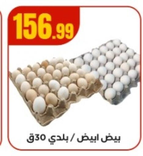 available at El Mahlawy Stores in Egypt - Cairo