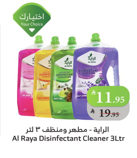 تنظيف in الراية, المملكة العربية السعودية Offers - المملكة العربية السعودية Lemon available at الراية in مملكة العربية السعودية, السعودية, سعودية - تبوك