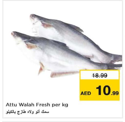 available at نستو هايبرماركت in الإمارات العربية المتحدة , الامارات - أبو ظبي