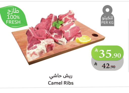 Camel meat available at Al Raya in KSA, Saudi Arabia, Saudi - Jeddah