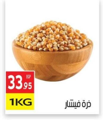 available at المحلاوي ماركت in Egypt - القاهرة