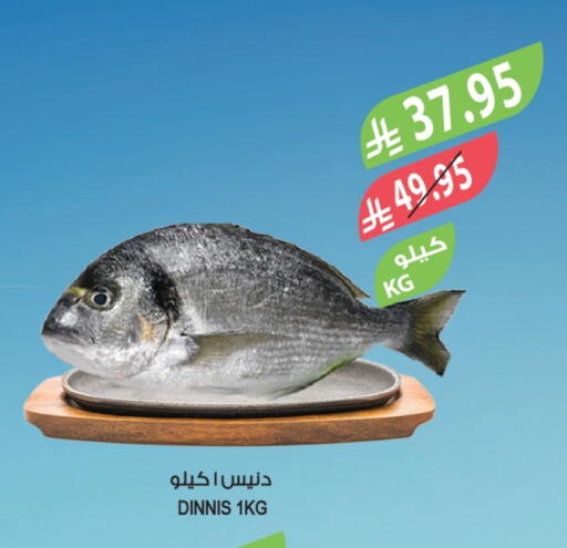 available at Farm  in KSA, Saudi Arabia, Saudi - Sakaka