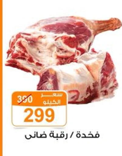 available at Gomla Market in Egypt - Cairo