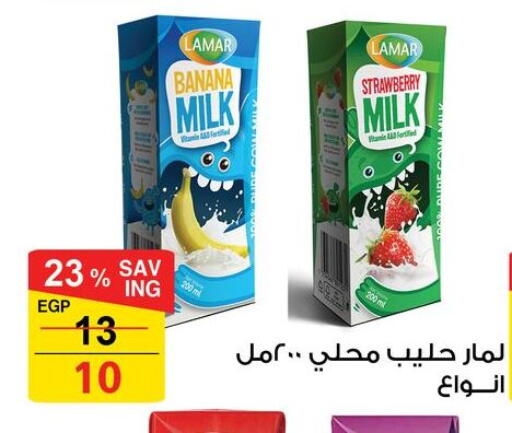 Flavoured Milk available at Fathalla Market  in Egypt - Cairo