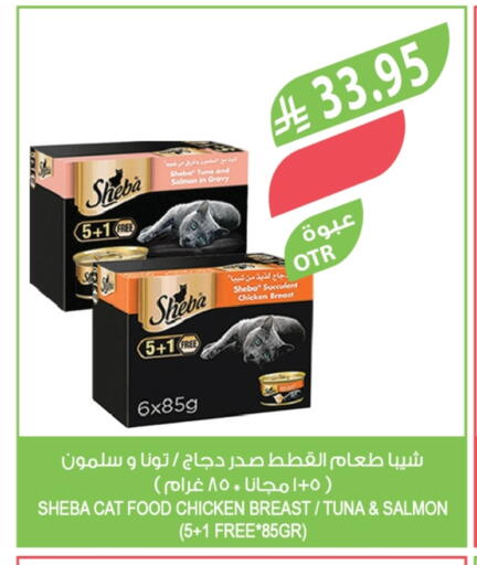 available at Farm  in KSA, Saudi Arabia, Saudi - Tabuk