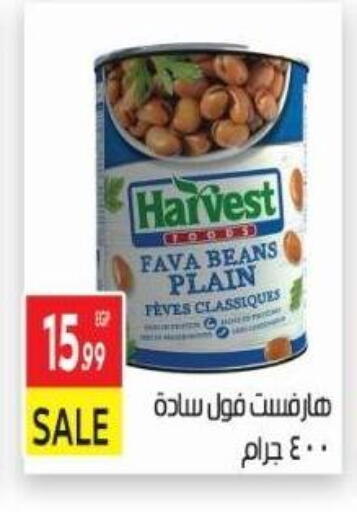 Fava Beans available at El Mahallawy Market  in Egypt - Cairo