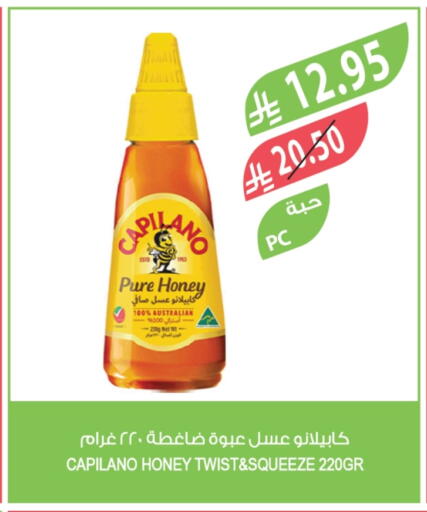 Honey available at Farm  in KSA, Saudi Arabia, Saudi - Tabuk
