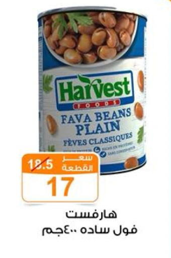 Fava Beans available at Gomla Market in Egypt - Cairo