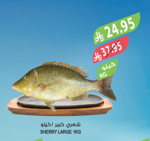 available at Farm  in KSA, Saudi Arabia, Saudi - Sakaka