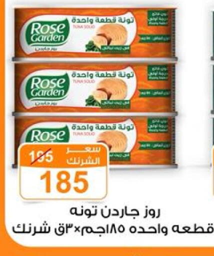 Tuna - Canned available at Gomla Market in Egypt - Cairo