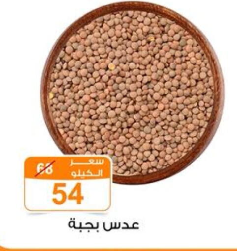 available at Gomla Market in Egypt - Cairo