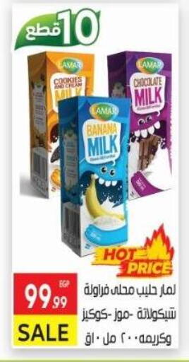Flavoured Milk available at El Mahallawy Market  in Egypt - Cairo