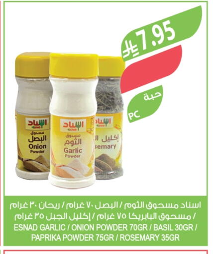 Onion Garlic Basil Paprika Rosemary available at Farm  in KSA, Saudi Arabia, Saudi - Tabuk