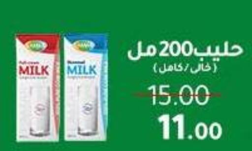 Full Cream Milk available at Wekalet Elmansoura - Dakahlia  in Egypt - Cairo