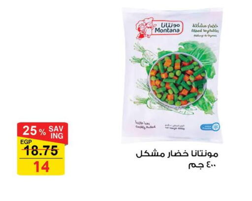 فواكه وخضار مجمدة in فتح الله, Egypt Offers - Egypt available at فتح الله in Egypt - القاهرة