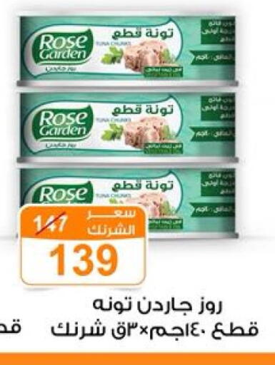Tuna - Canned available at Gomla Market in Egypt - Cairo