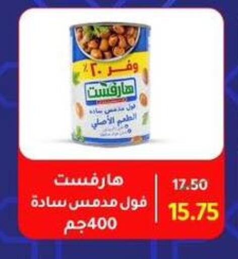 Fava Beans available at Wekalet Elmansoura - Dakahlia  in Egypt - Cairo