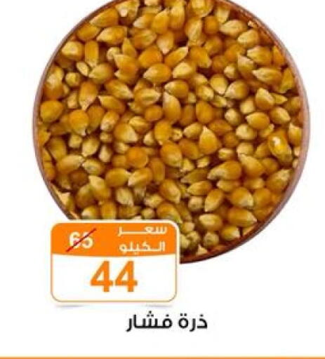 available at Gomla Market in Egypt - Cairo