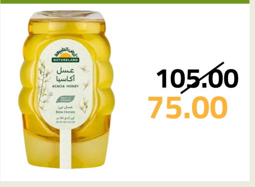 Honey available at Astra Markets in KSA, Saudi Arabia, Saudi - Tabuk