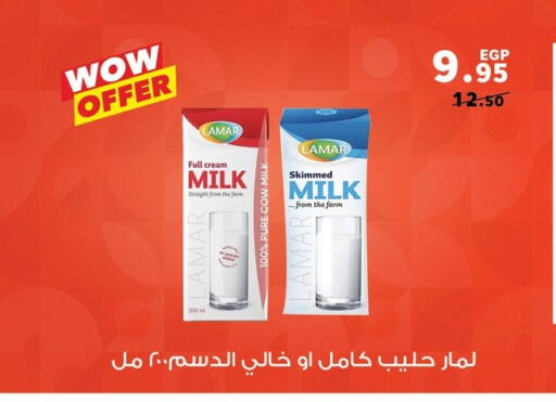 Full Cream Milk available at Panda  in Egypt - Cairo