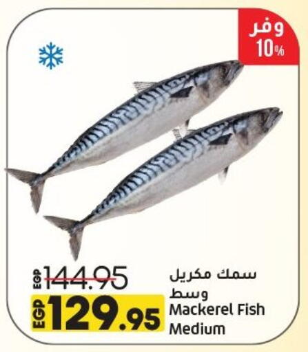 available at Lulu Hypermarket  in Egypt - Cairo