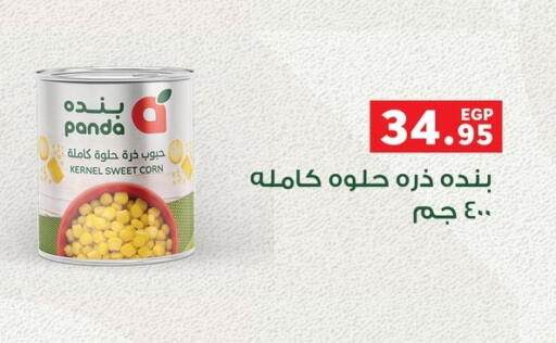 available at بنده in Egypt - القاهرة