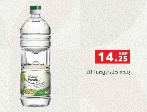 خل available at بنده in Egypt - القاهرة