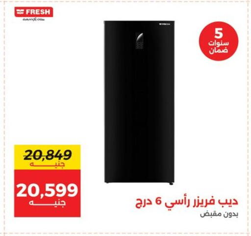 الأدوات المنزلية الكبيرة in رنين, Egypt Offers - Egypt فريش ثلاجة available at رنين in Egypt - القاهرة