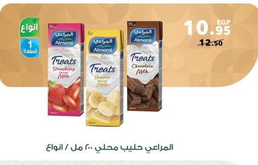 ALMARAI Flavoured Milk available at Panda  in Egypt - Cairo