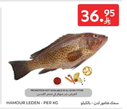 available at Carrefour in KSA, Saudi Arabia, Saudi - Al Khobar