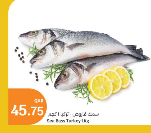 available at City Hypermarket in Qatar - Al-Shahaniya