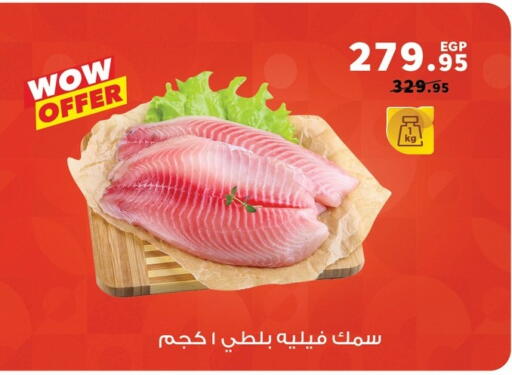 available at Panda  in Egypt - Cairo
